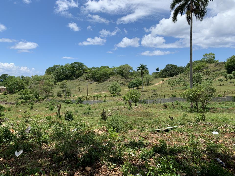 Property view 3