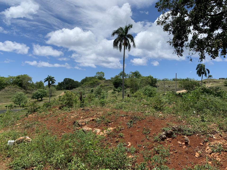 Property view 2