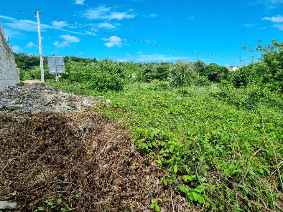 Property view 6