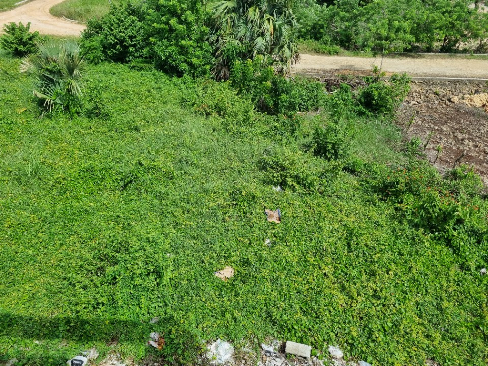 Property view 8