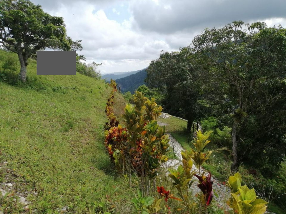 Property view 1
