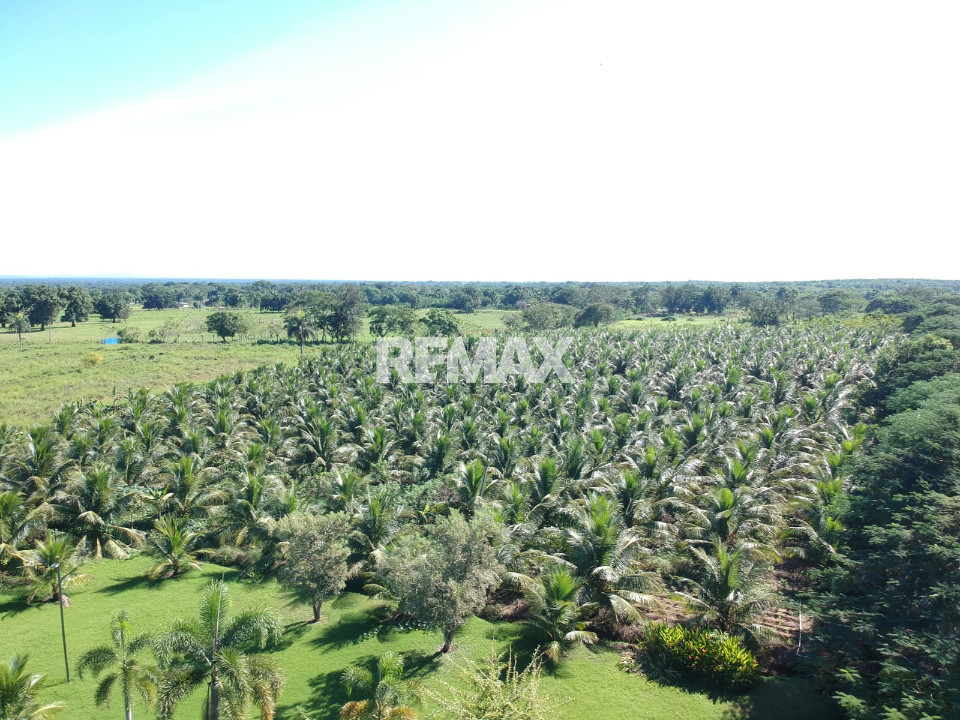 Finca en MATA REDONDA, SANTO DOMINGO NORTE