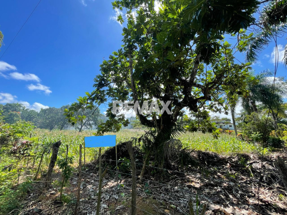 Terreno en LA NOVILLA, RÍO SAN JUAN