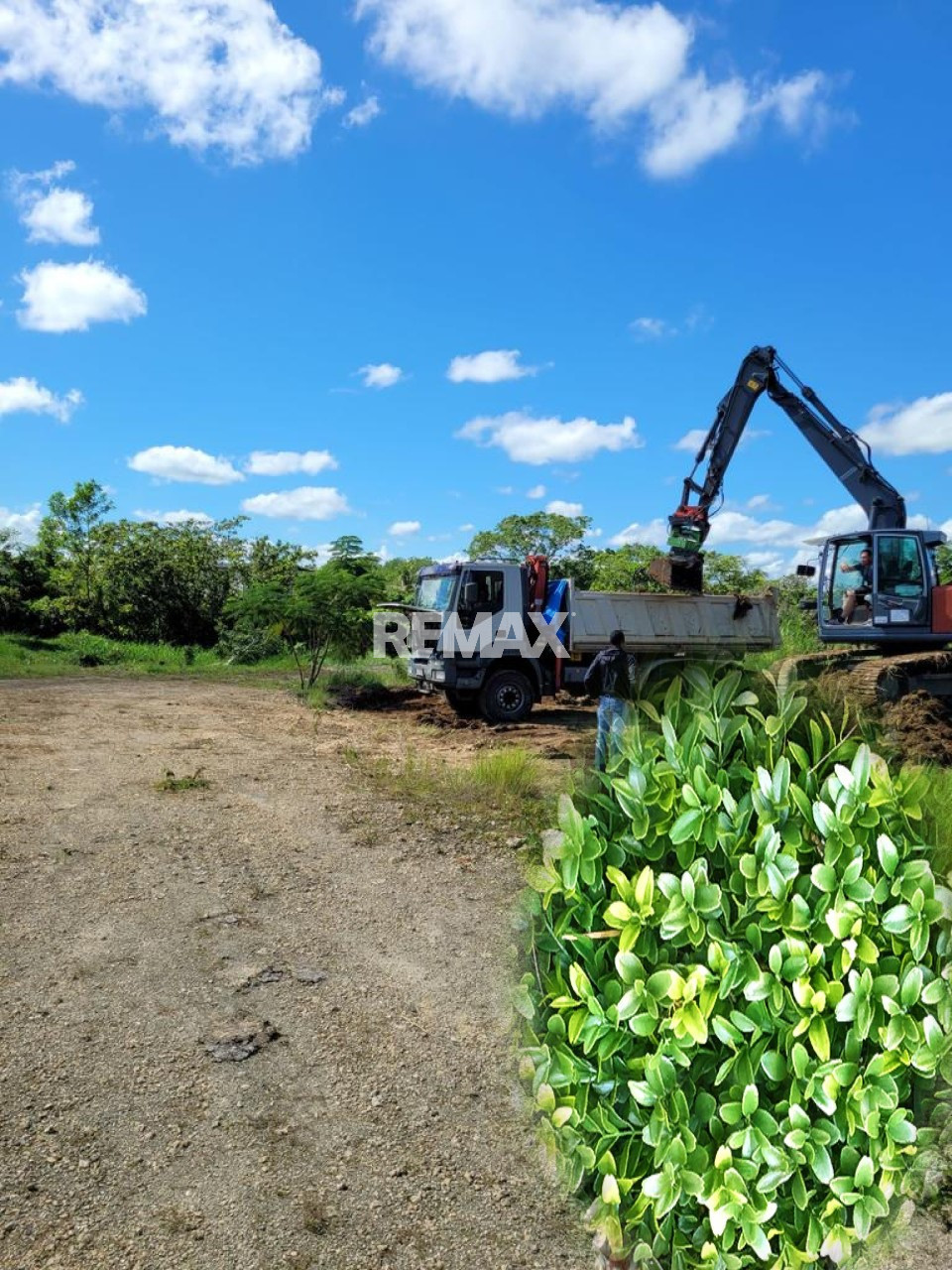 Property view 5