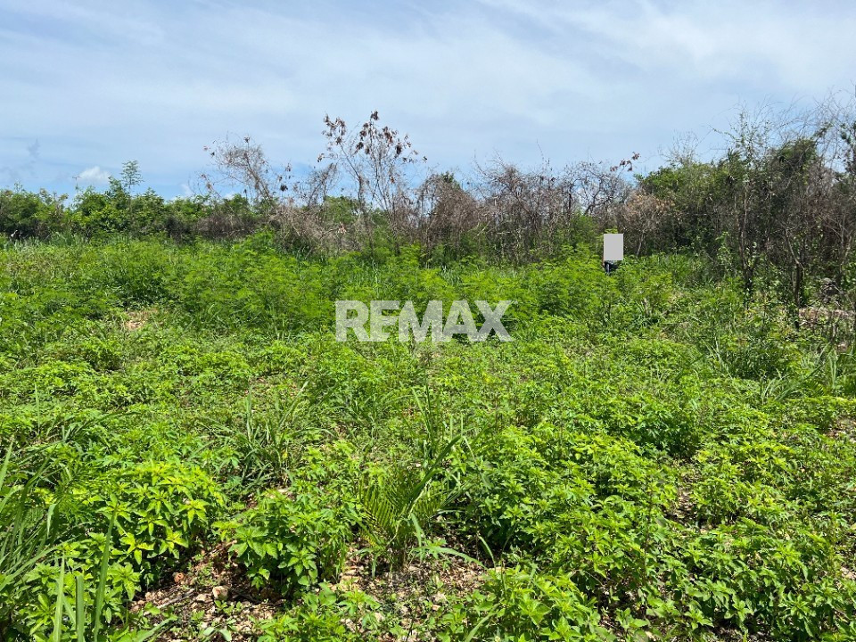 Terreno en COMATILLO, BAYAGUANA