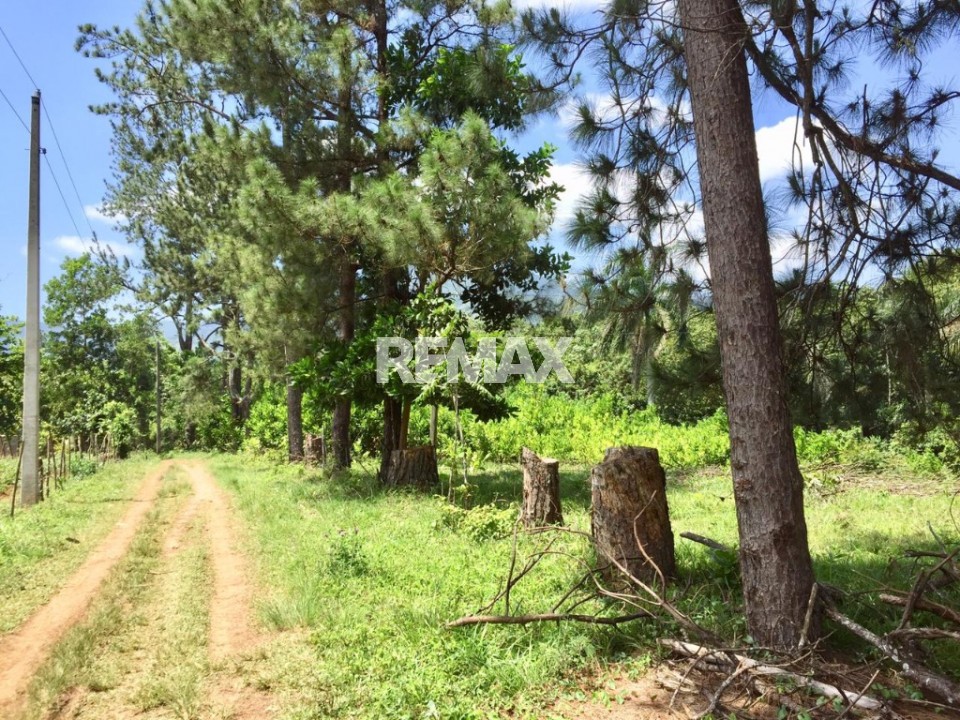Terreno en VILLA ALTAGRACIA, SAN CRISTÓBAL