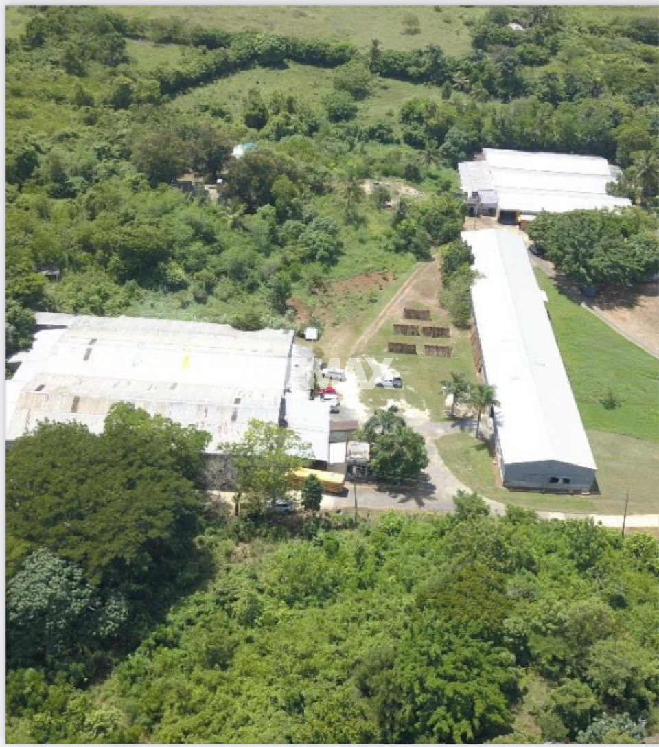 Terreno en EL TORO, SAN ANTONIO DE GUERRA