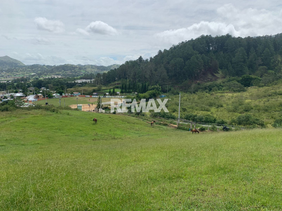 Terreno en LA COLONIA HÚNGARA O EL DISTRITO, CONSTANZA