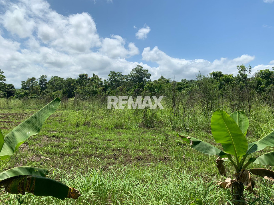 Terreno en SANTO DOMINGO OESTE, HATO NUEVO