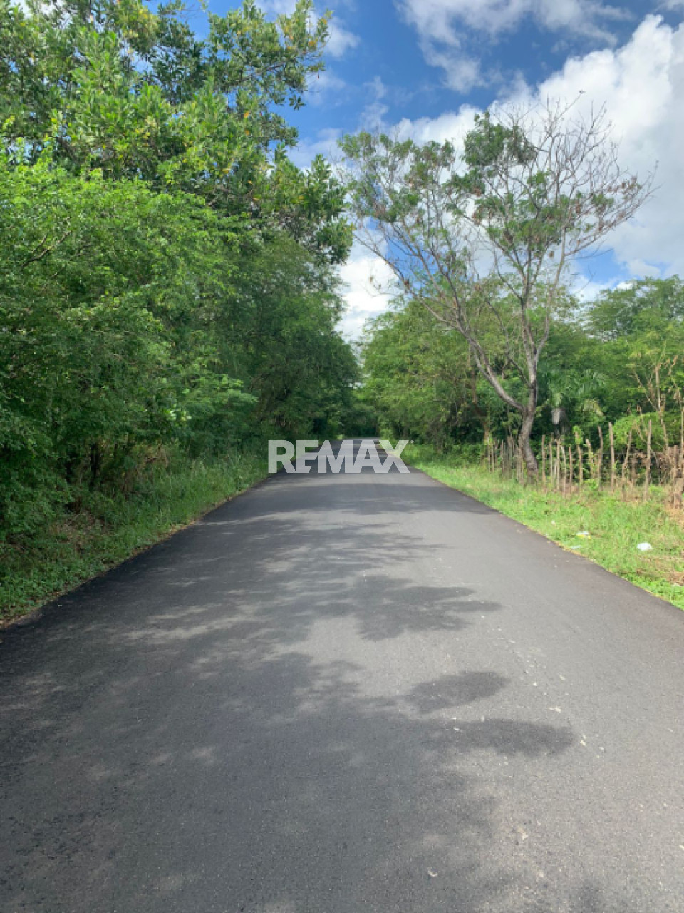 Terreno en PEDRO BRAND, EL PEDREGAL