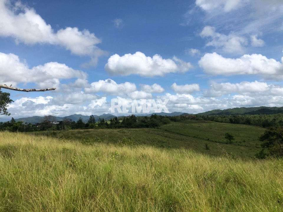 Farm en SANTO DOMINGO NORTE, HIGUERO