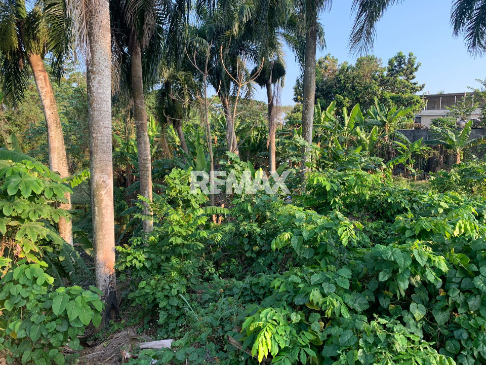 Land en SANTO DOMINGO NORTE, LAS FLORES