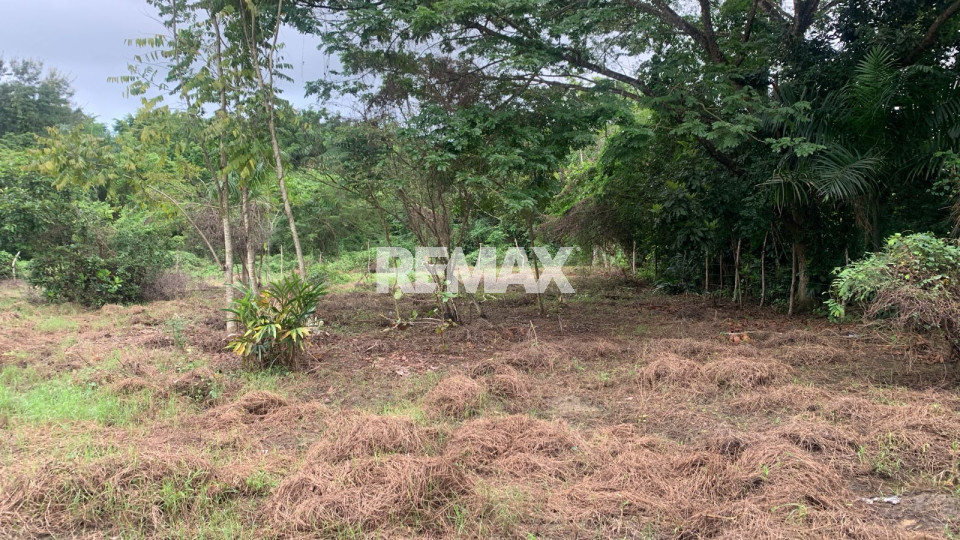Terreno en SANTO DOMINGO ESTE, EL CABRETO