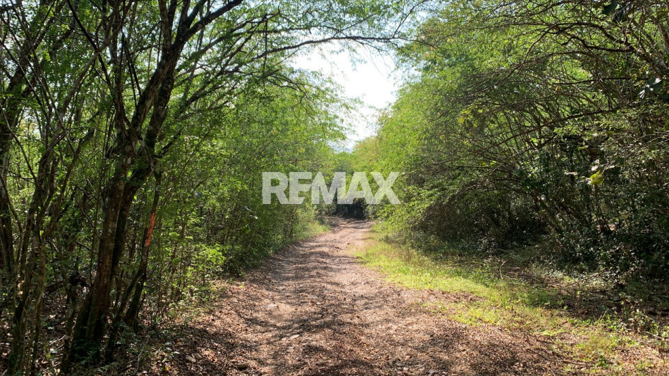 Terreno en SANTO DOMINGO NORTE, HIGUERO