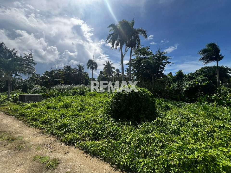 Land en SAMANÁ LAS TERRENAS, LOS PESCADORES