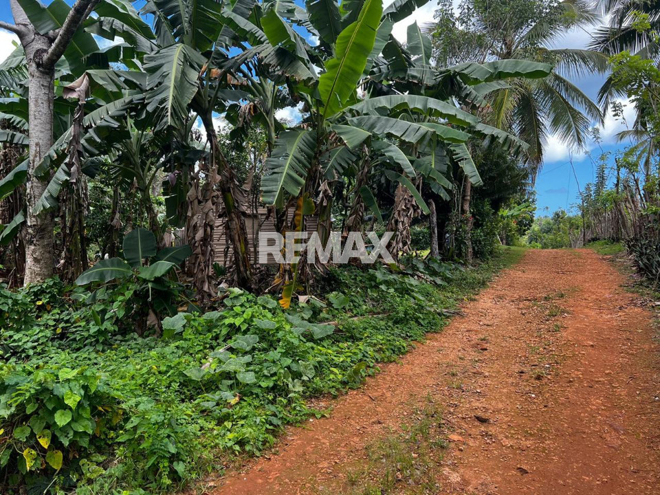 Terreno en RINCÓN, SAMANÁ