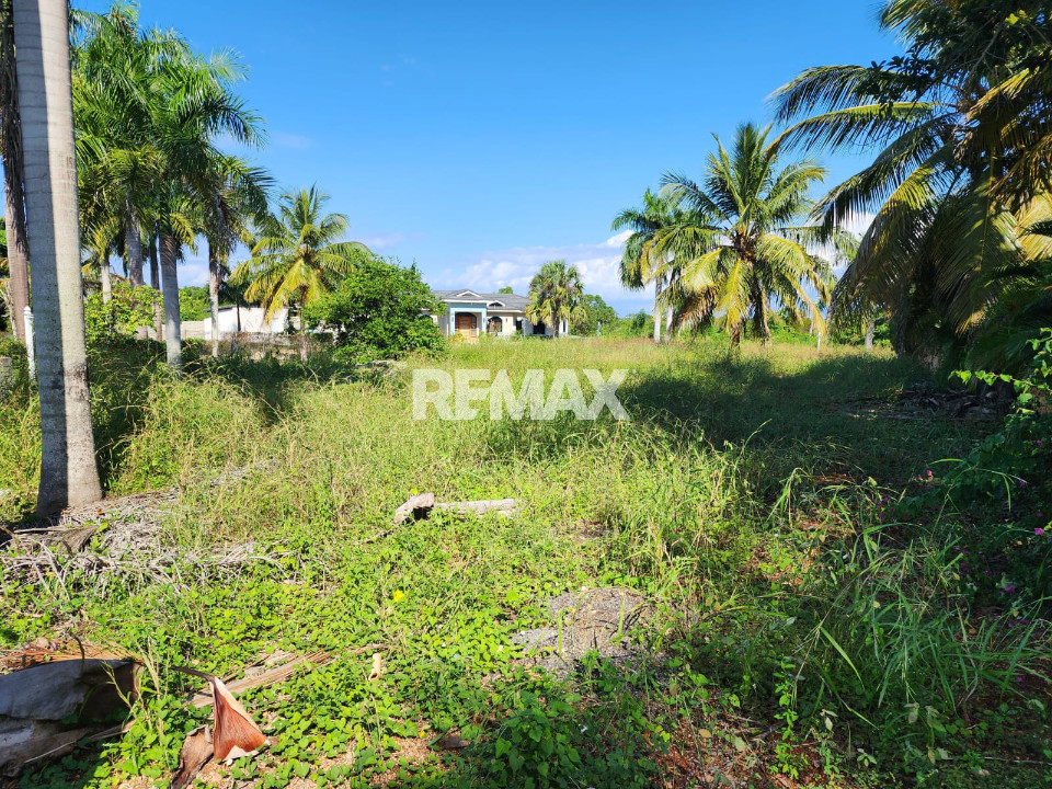 Terreno en CABARETE, SOSÚA