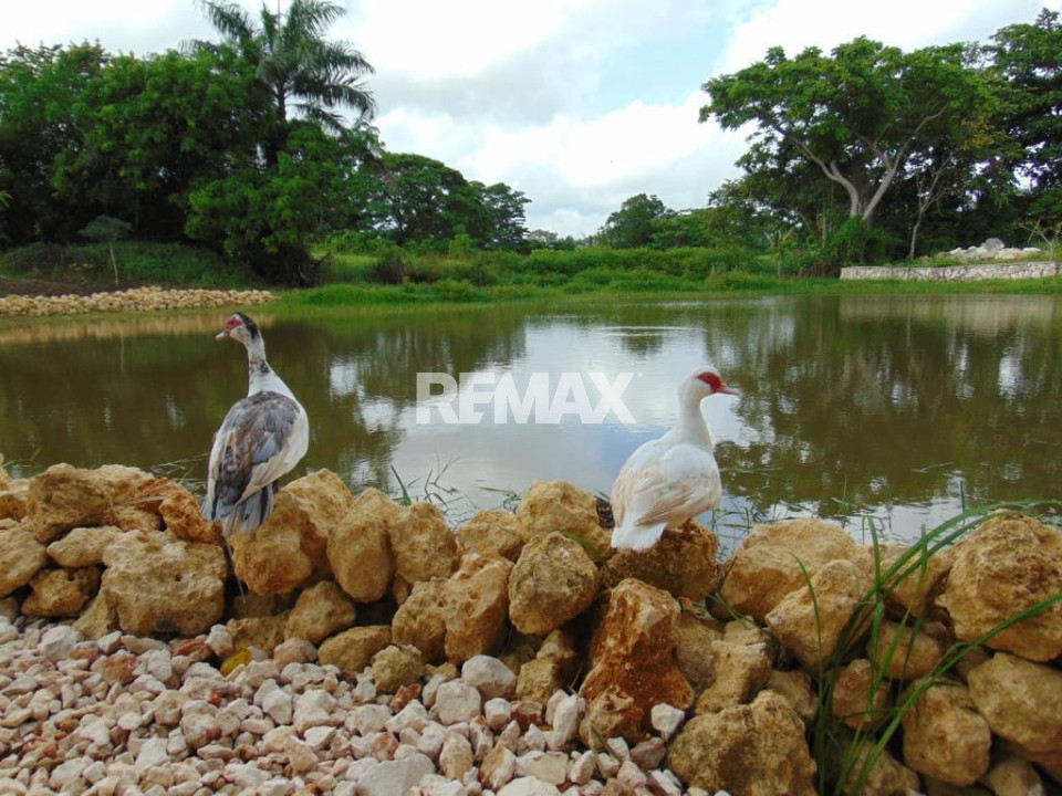 Terreno en EL MACAO, HIGÜEY