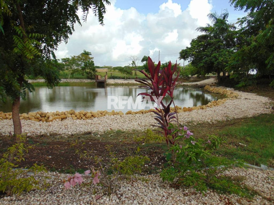 Land en HIGÜEY, EL MACAO