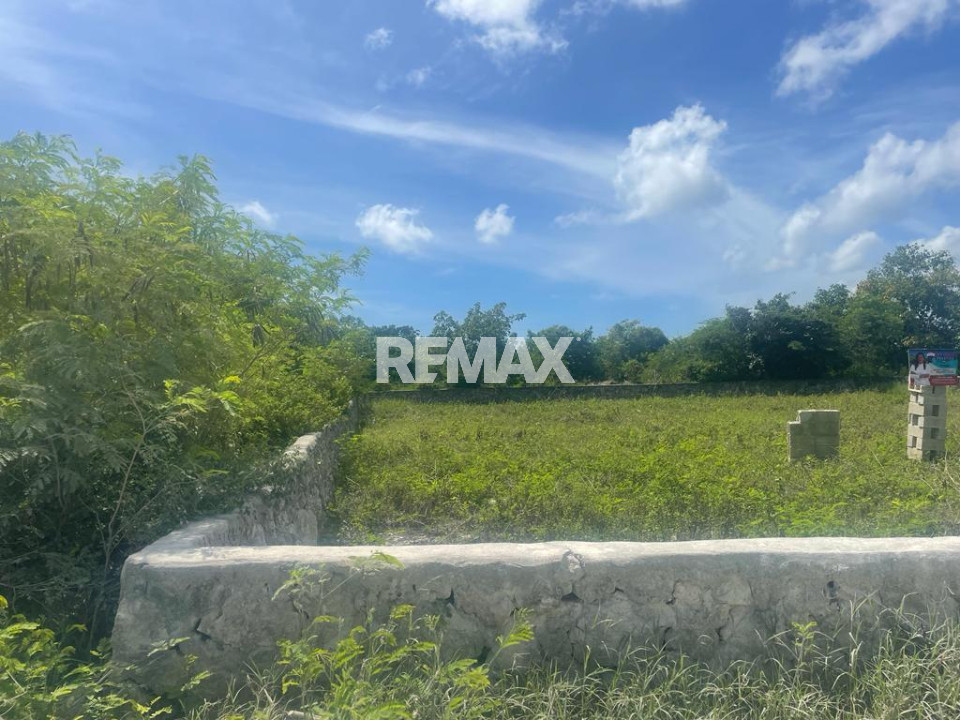 Terreno en PUNTA CANA, BAVARO