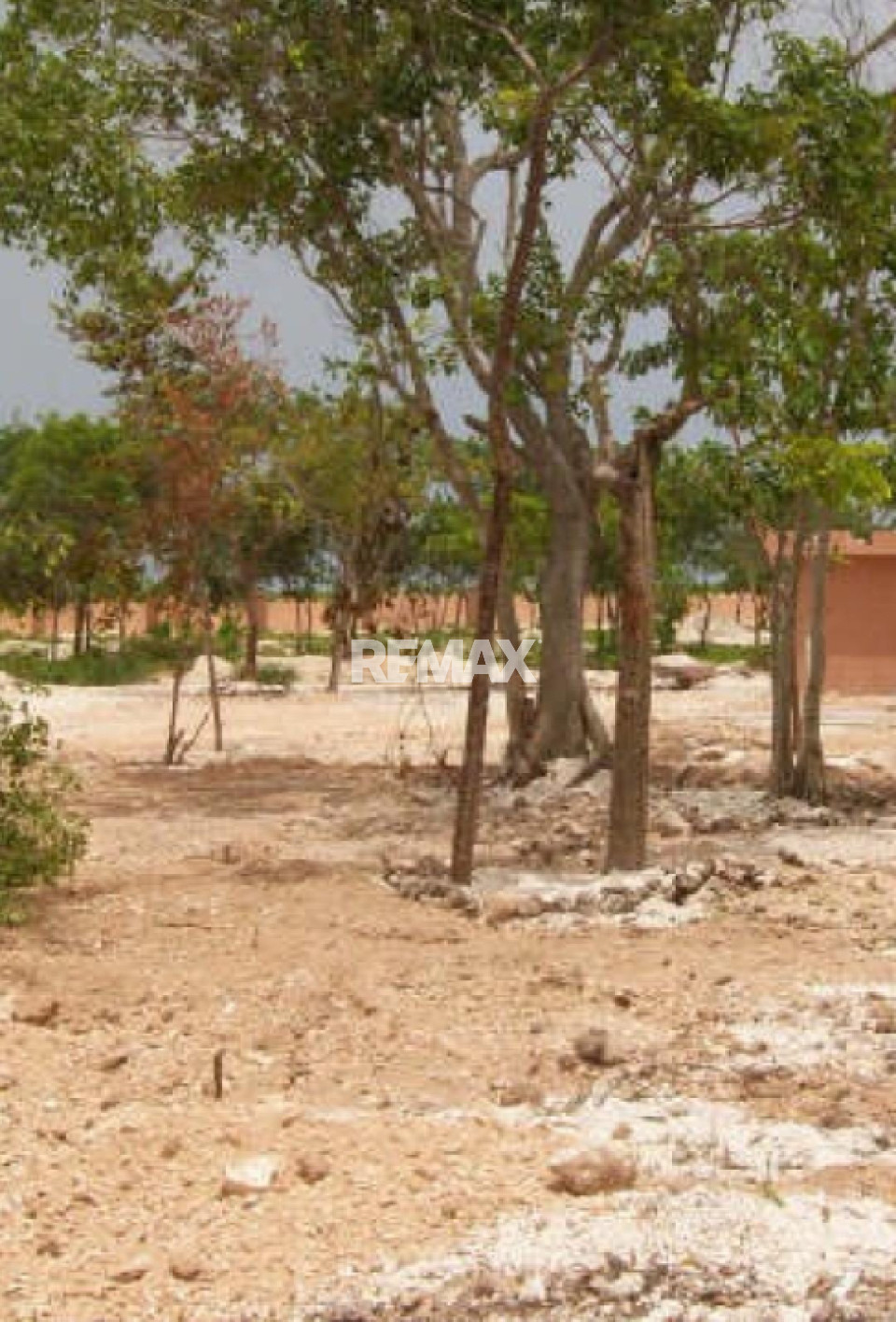 Land en PUNTA CANA, BAVARO
