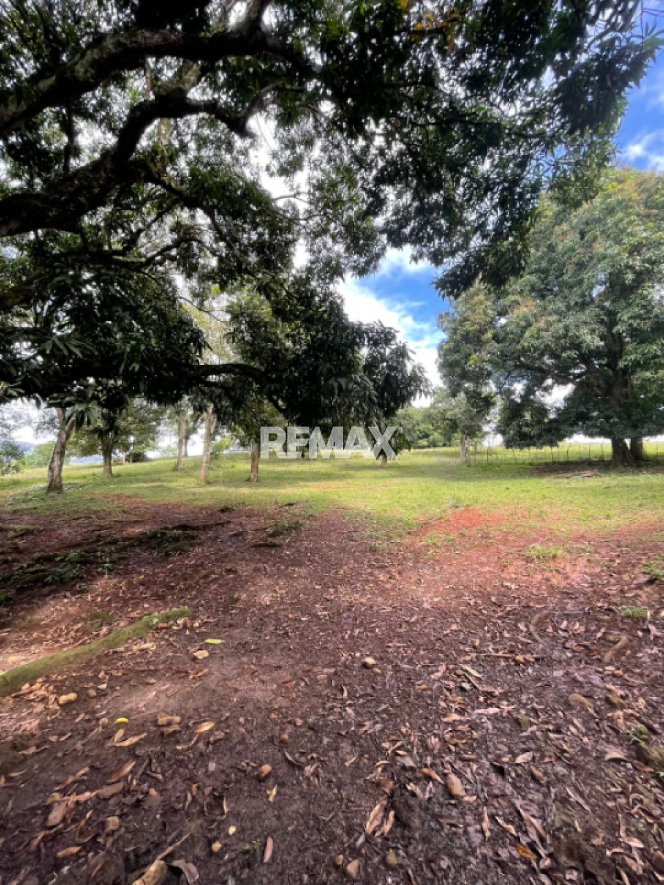 Terreno en BEJUCO APLASTADO, BONAO