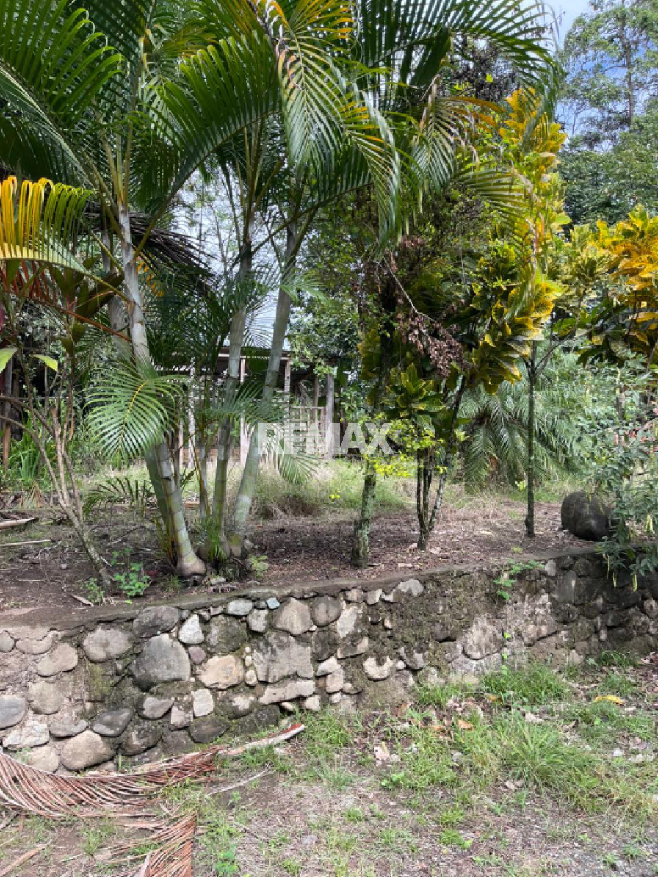 Terreno en LOS PEDREGONES, BONAO