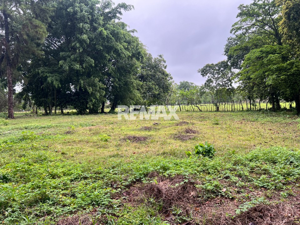 Terreno en SONADOR, PIEDRA BLANCA