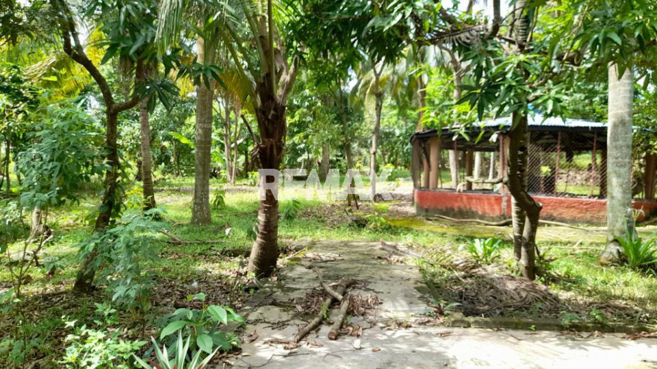 Terreno en SANTO DOMINGO DE GUZMÁN, PALMA REAL