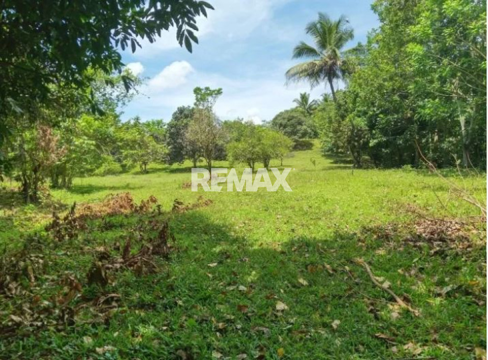 Terreno en HATO DAMAS, SAN CRISTÓBAL