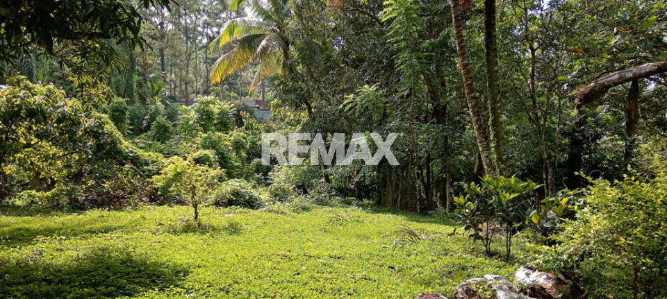 Finca en VISTA HERMOSA, VILLA ALTAGRACIA