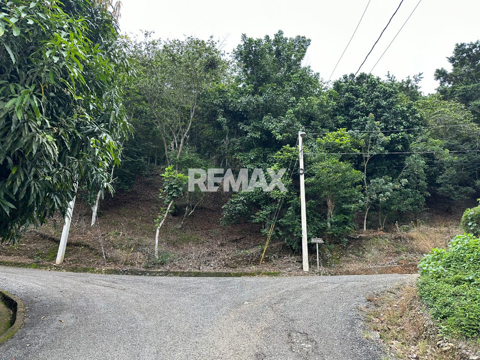 Terreno en PASO BAJITO, JARABACOA