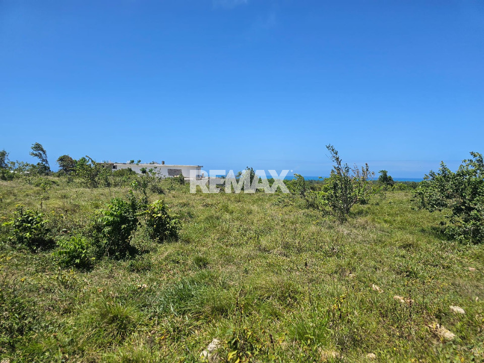 Property view 1