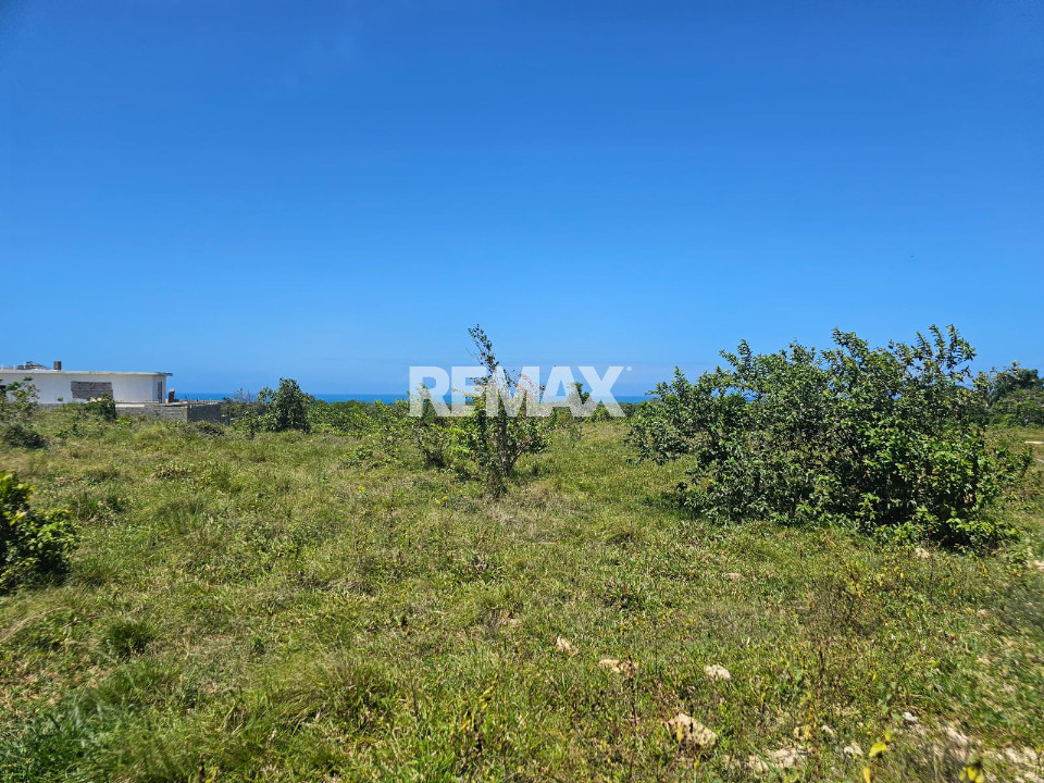 Property view 3