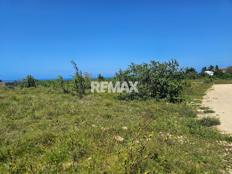 Property view 5