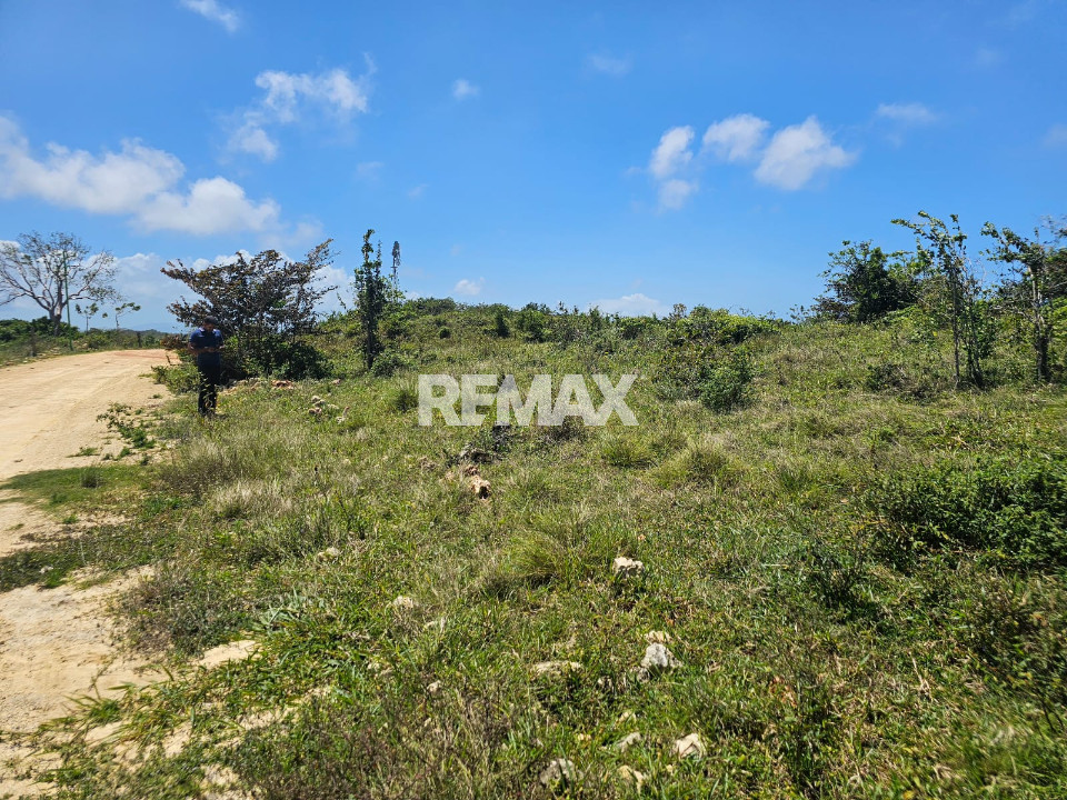 Property view 4