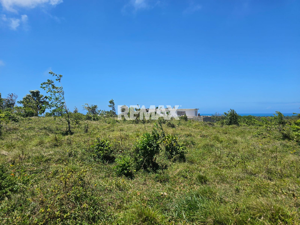Property view 7