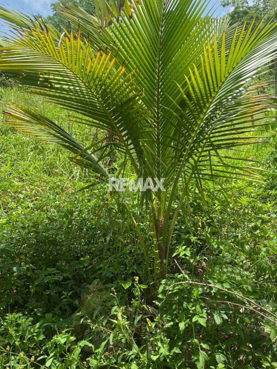 Terreno en RÍO SAN JUAN, RÍO SAN JUAN