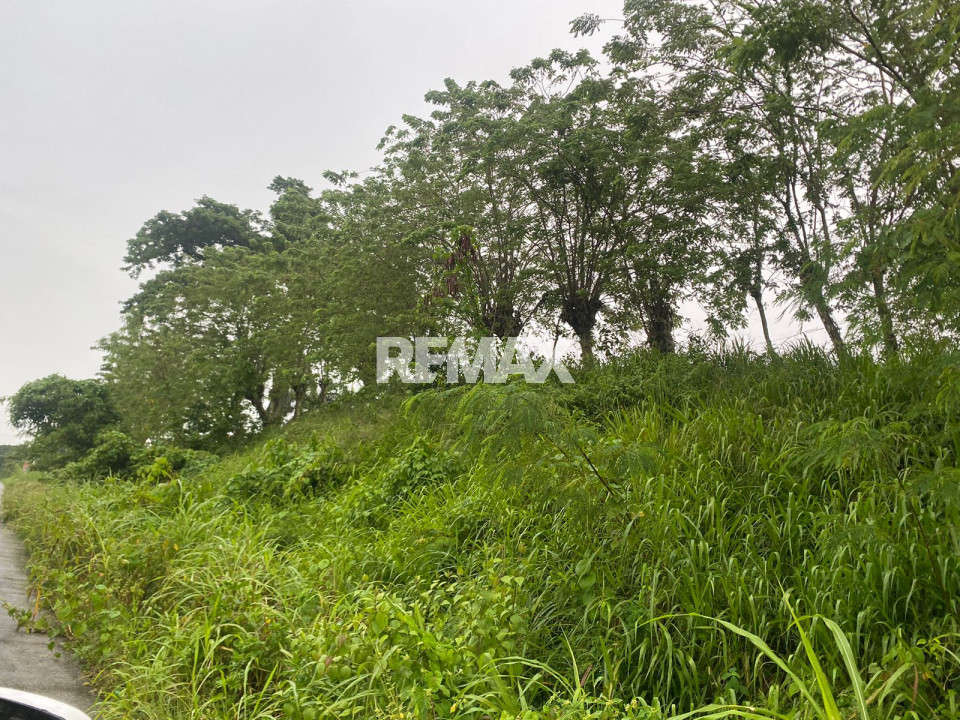 Terreno en LA CANTERA, GASPAR HERNÁNDEZ