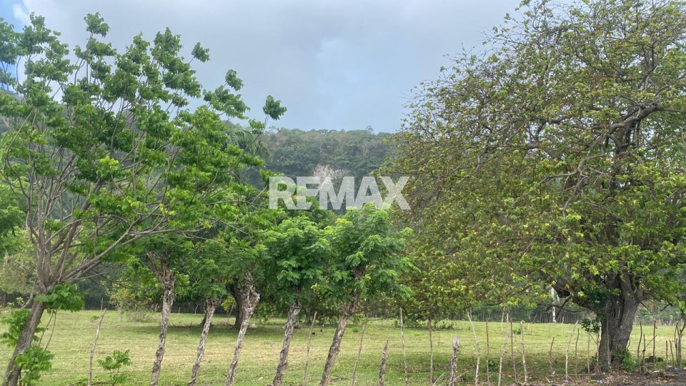 Terreno en ABREU, CABRERA