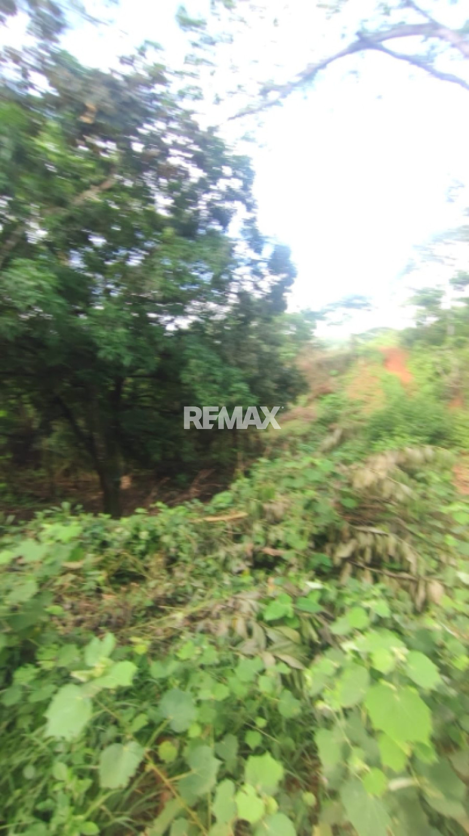 Property view 1