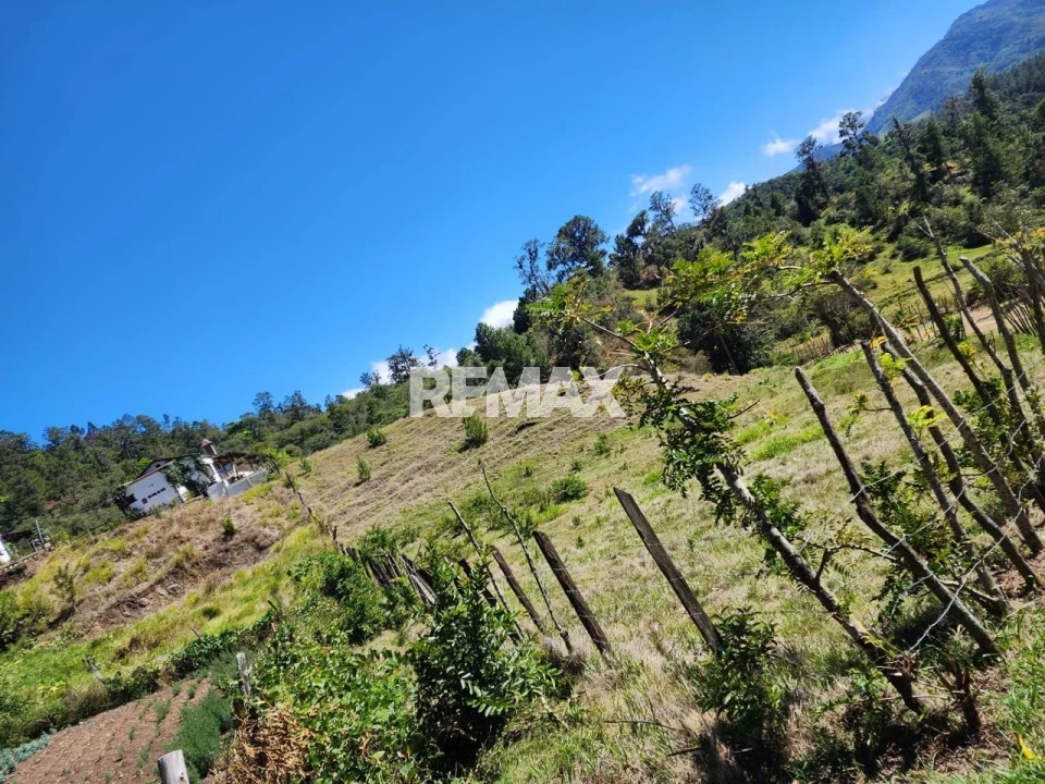 Terreno en PALERO ALMONTE, CONSTANZA