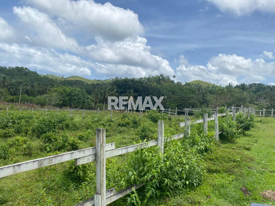 Terreno en LOS PUENTES, SAMANÁ LAS TERRENAS