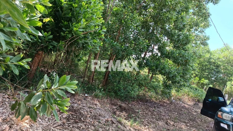 Terreno en LAS LAJAS, BAYAGUANA