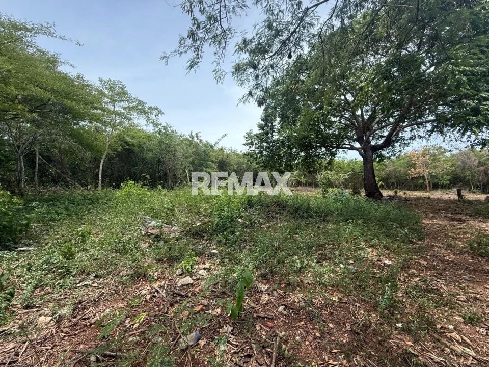 Terreno en JUAN DOLIO, GUAYACANES