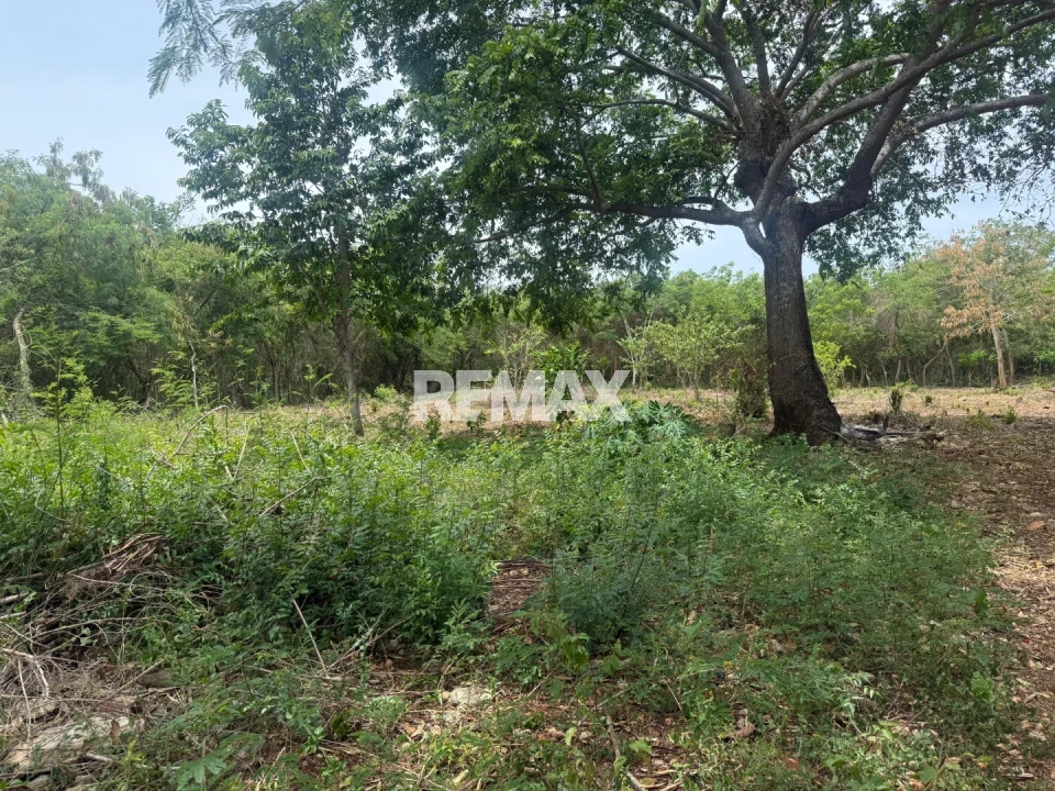 Land en GUAYACANES, JUAN DOLIO