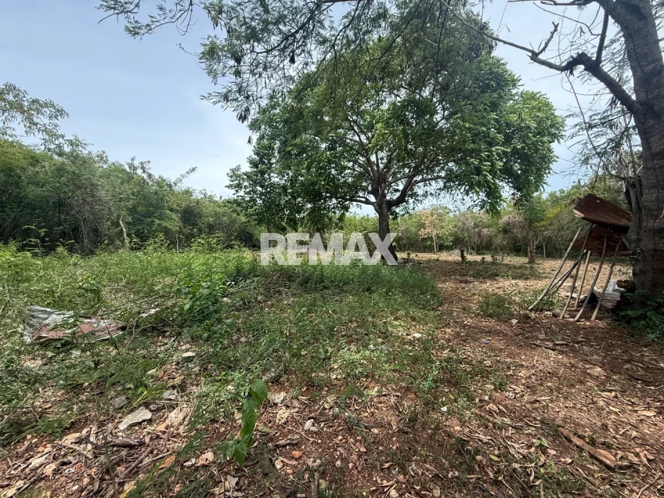 Land en GUAYACANES, JUAN DOLIO