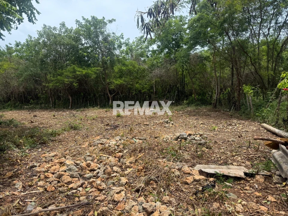 Land en GUAYACANES, JUAN DOLIO