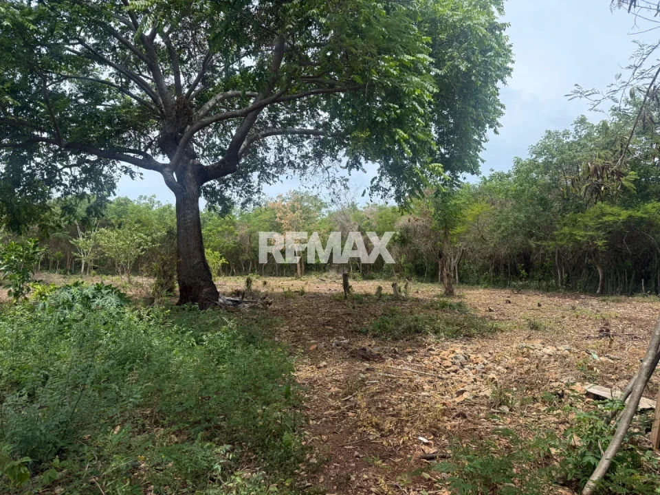 Land en GUAYACANES, JUAN DOLIO