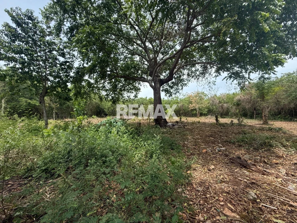 Land en GUAYACANES, JUAN DOLIO